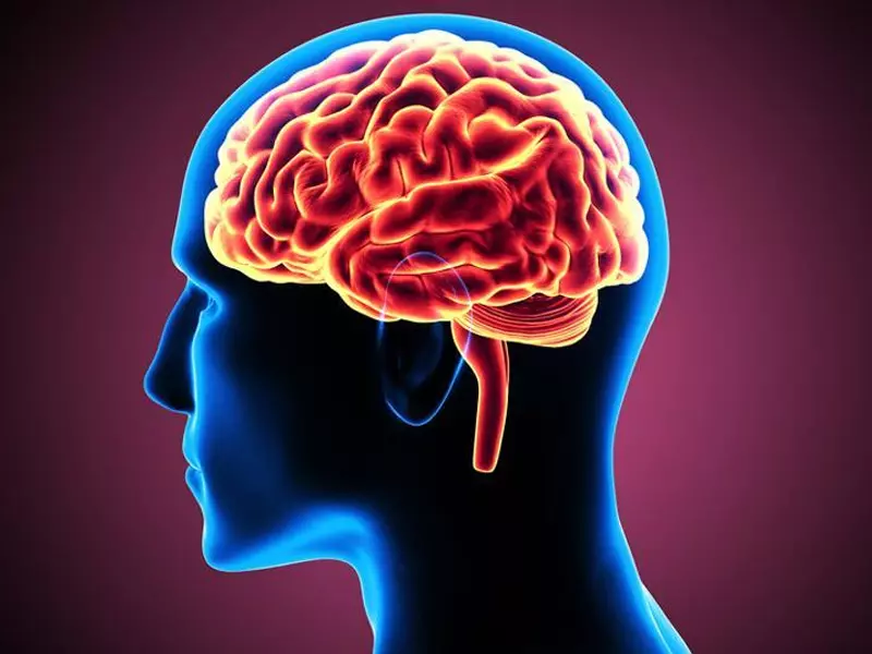 Những vấn đề về rối loạn tuần hoàn não và cách cải thiện